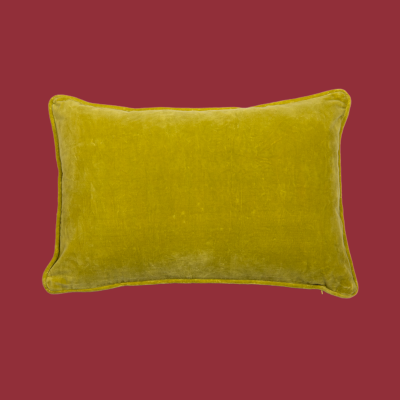 Velvet Kussens