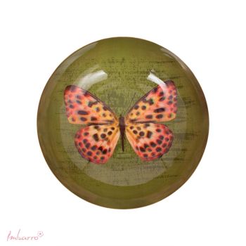 Bowl Papillon XL