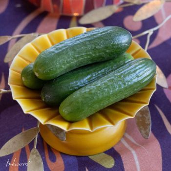 Kandelaar Sil Yellow